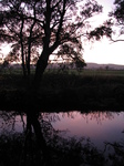 SX21018 Sunset reflected in river Afon Clwyd.jpg